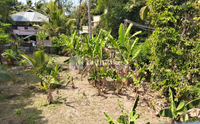 Land for Sale in Kochi Ernakulam