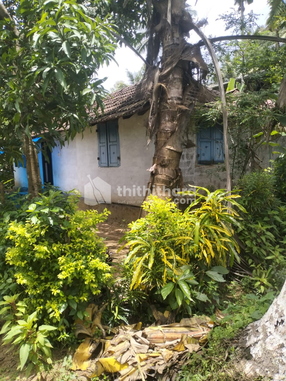 5cent Residentail Land for sale at Manalur,Thrissur