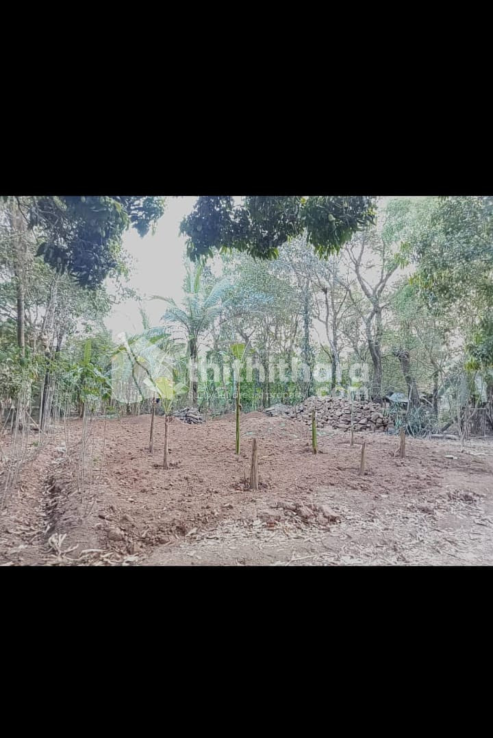 Residential Plot For Sale In Vaka , Elavally , Thrissur