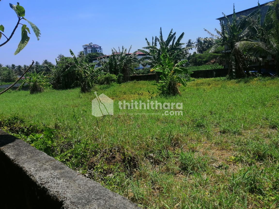 Residential land for sale in Patturaickal