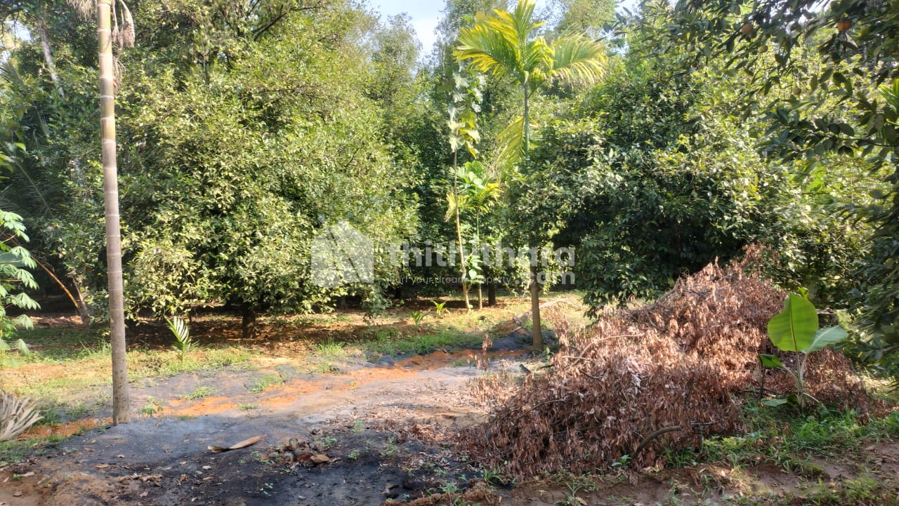 Residential Land available for Sale in Angamaly Ernakulam