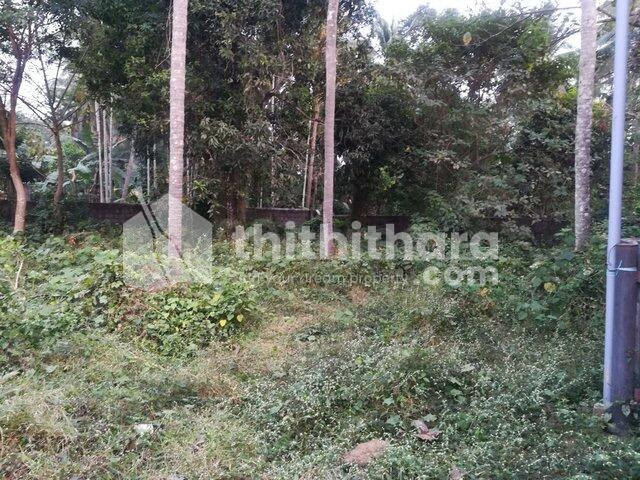 Residential land for sale in Patturaickal