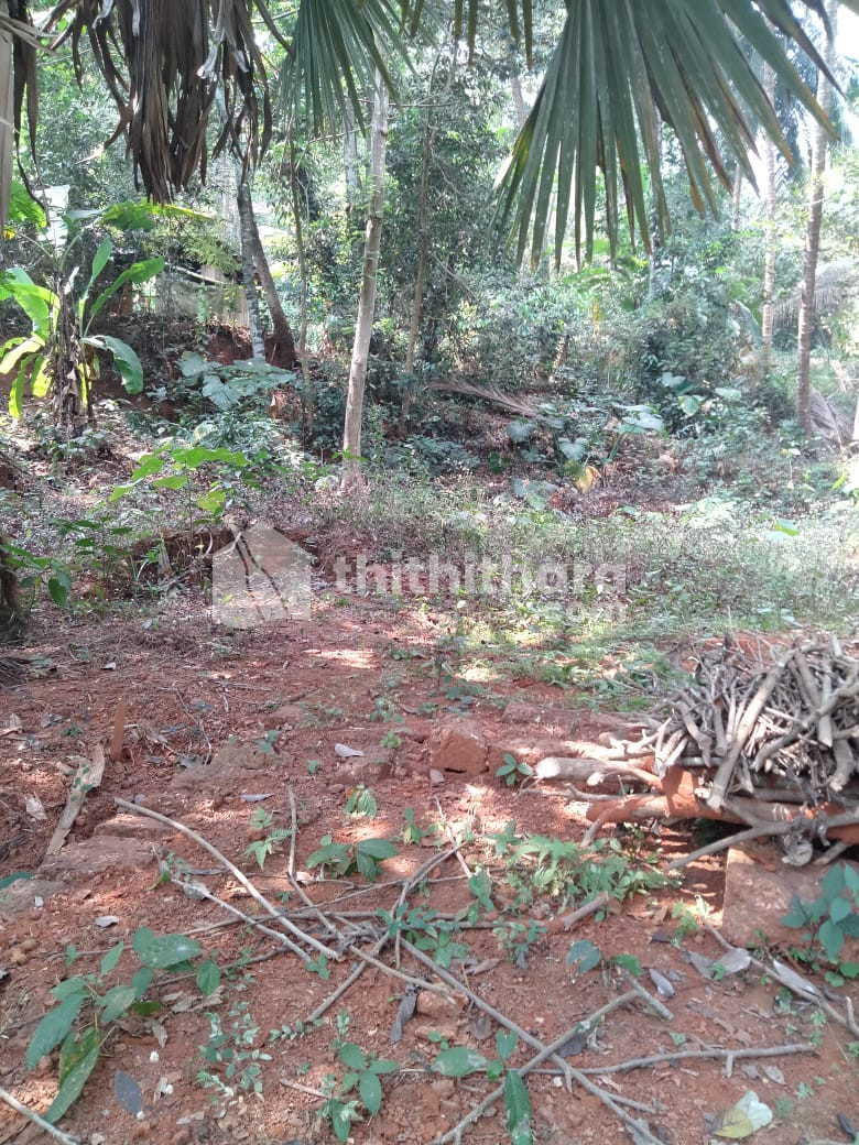 30 cent land for sale in Kuttikkattoor 
