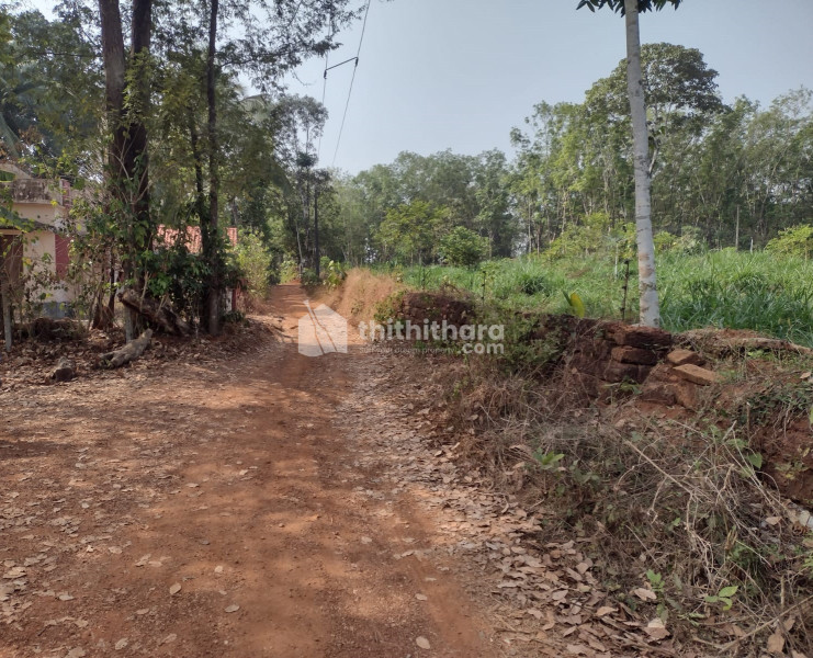 Residential Land available for Sale in Mannarkad, Palakkad