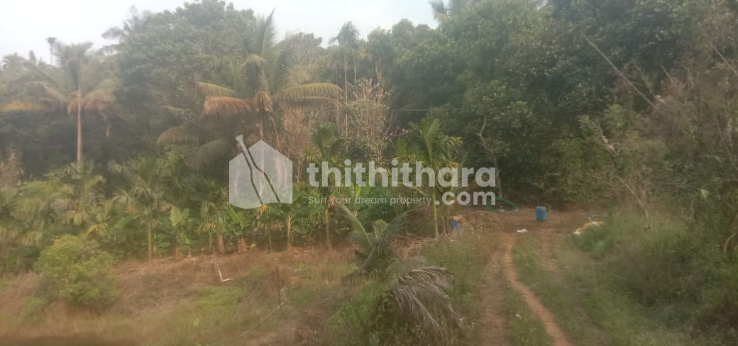 Residential Land available for Sale in Mananthavady, Wayanad