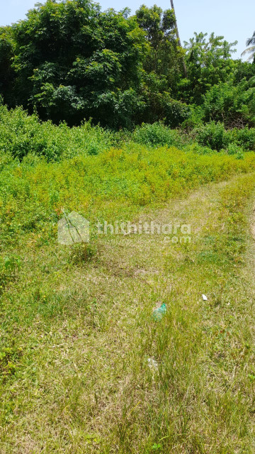 52 cent commercial plot for sale in  north paravoor 