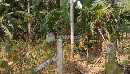 Residential Land available for Sale in  Kongad, Palakkad