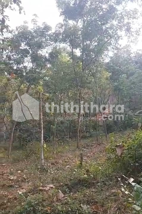 Residential Land available for Sale in Ranni Pathanamthitta