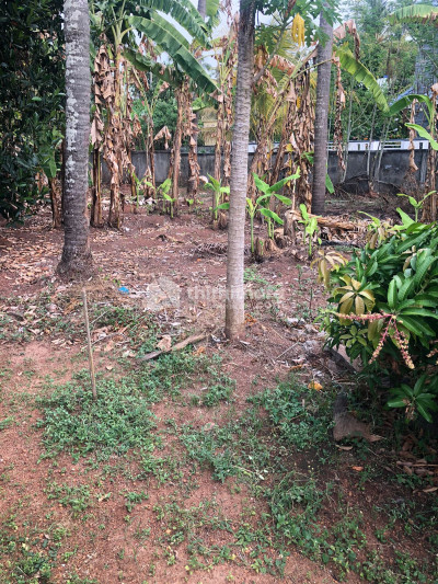 Residential Land available for Sale in Kanimangalam Thrissur