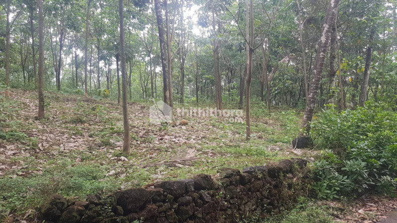 Residential Land available for Sale in  Thodupuzha, Idukki