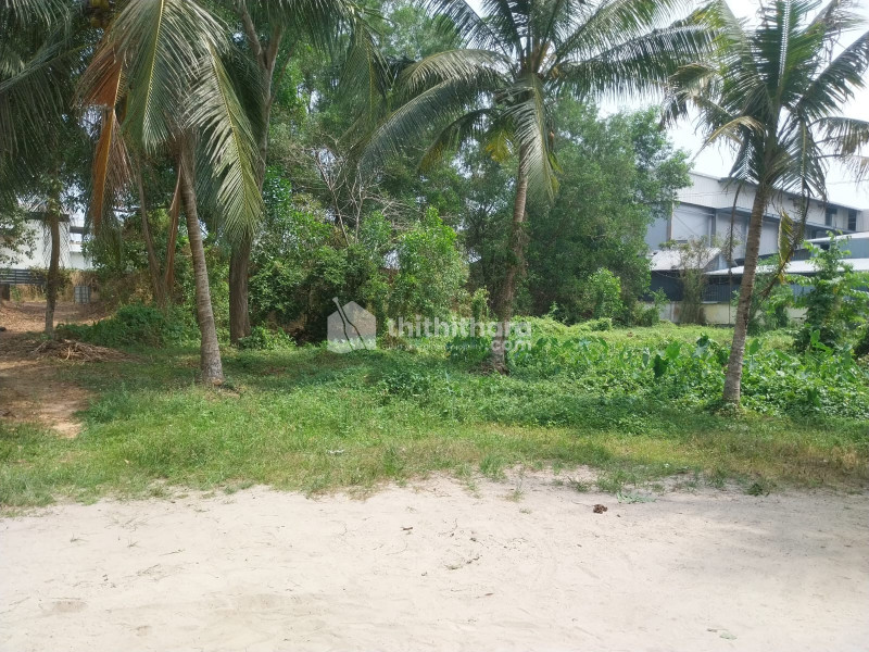  Land for sale  in Cherthala Pallipuram Alappuzha