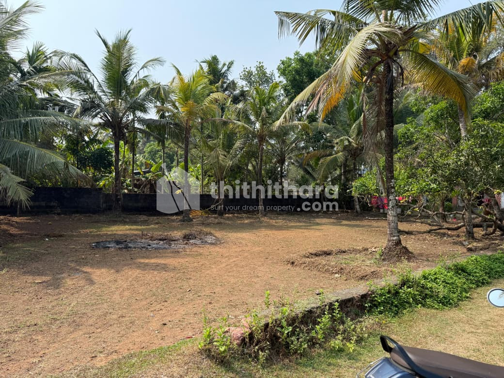 Land for Sale in Karunagappally Kollam 