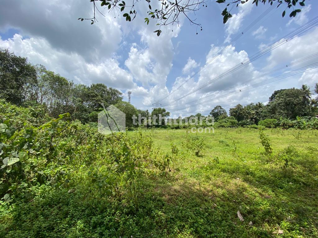 77 cent land for sale at pallikara near kakkanad and infopark