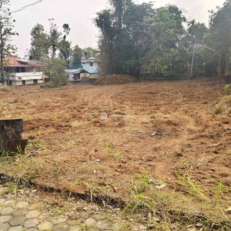 50 cent for rent at pallikara near kakkanad and infopark