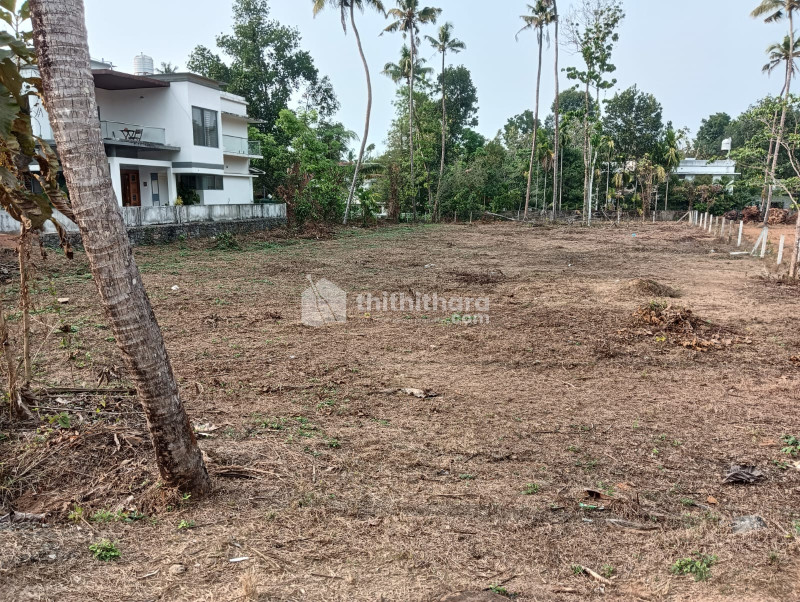 Commercial Plots available for Sale in Angamaly Ernakulam
