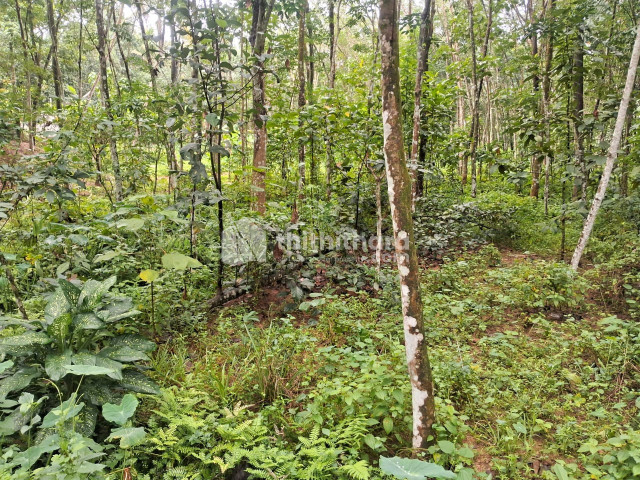 Commercial Plots available for Sale in Vellanad Thiruvananthapuram