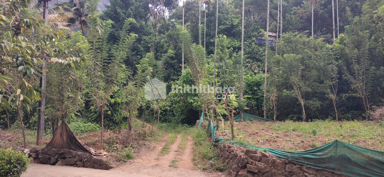 Commercial Plots for Sale in Devikulam Idukki