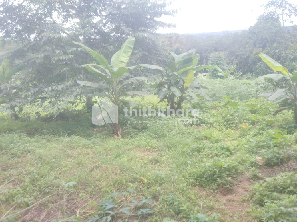 1 Acre Residential land for sale at Cherukattoor, Wayanad 