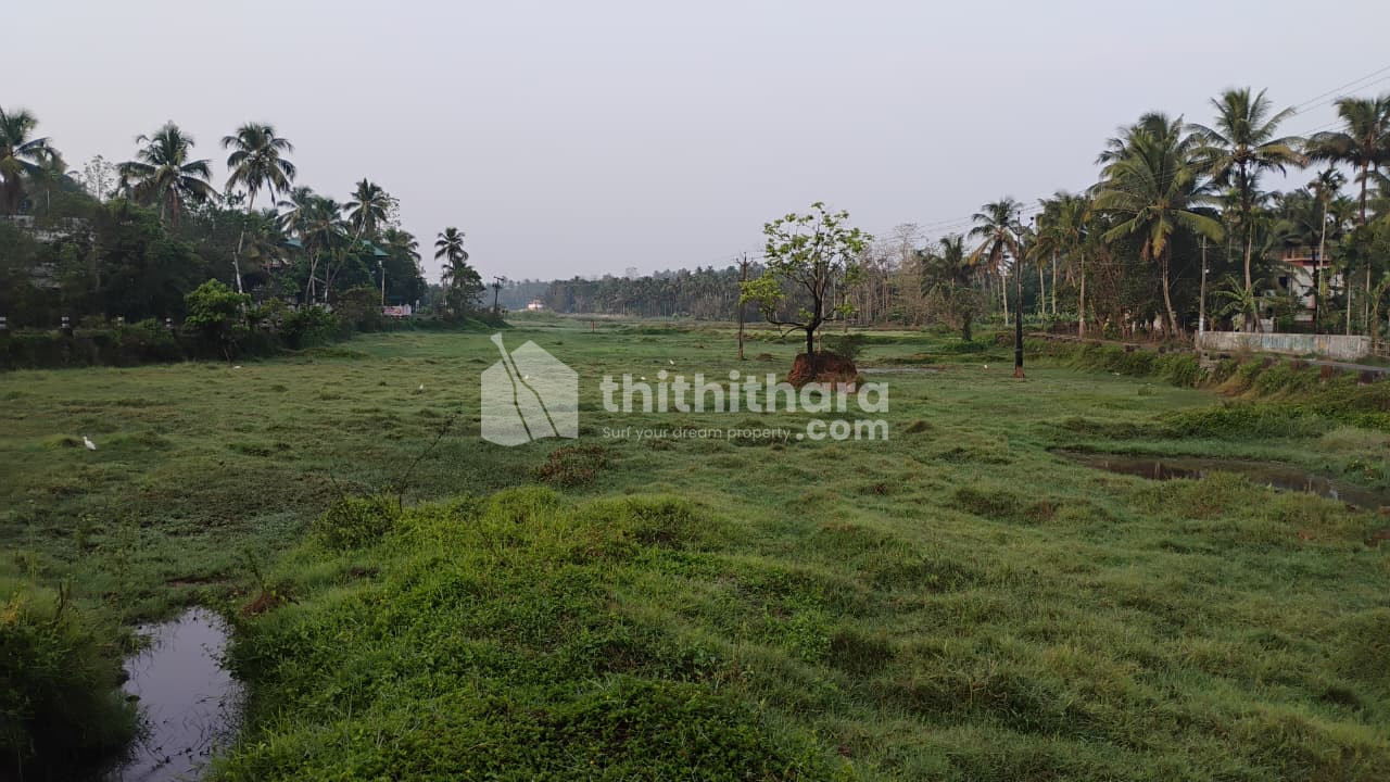 Land available for Sale in Mulyam  puayoramThrissur