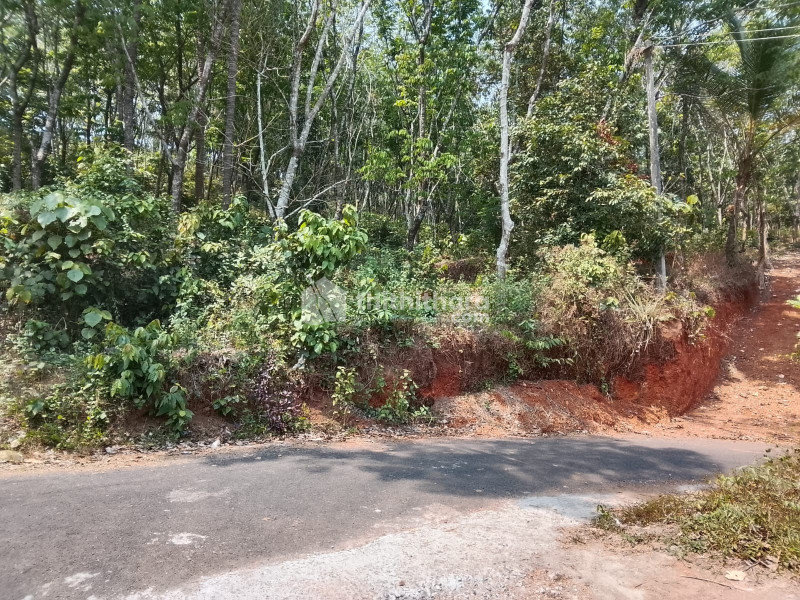 Plots available for Sale in Taliparamba, Kannur