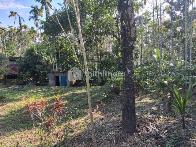 Plot available for Sale in Kalpetta, Wayanad
