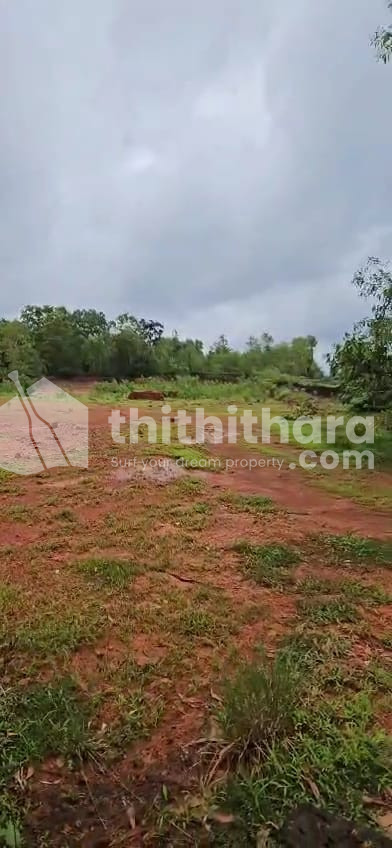 Land for Sale Pattaje Kasaragod