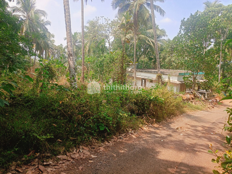 Plots available for Sale in Kunnamangalam, Kozhikode