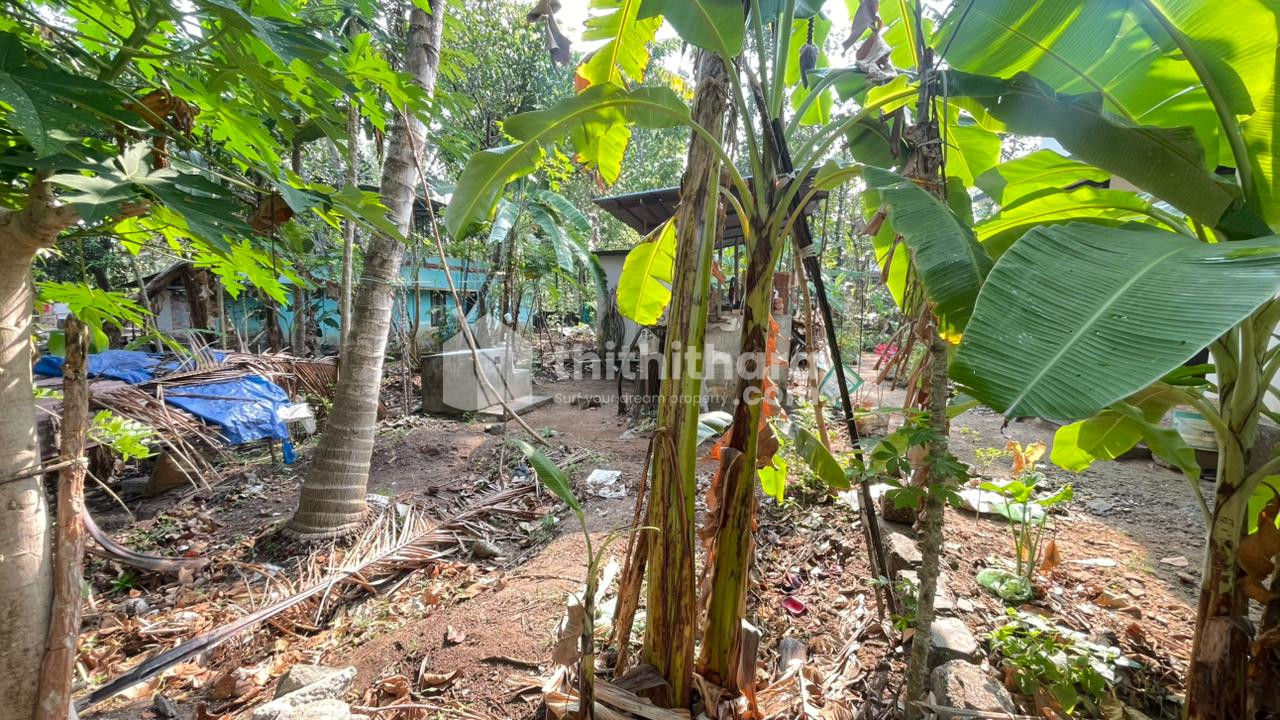  Plots available for Sale in Nedumpana Kollam
