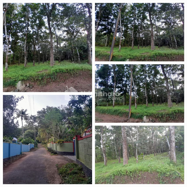 23 Cent Commercial Plots for sale in Kottarakkara Kollam 