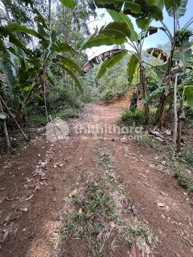Land for Sale at Nedumangad Thiruvananthapuram  