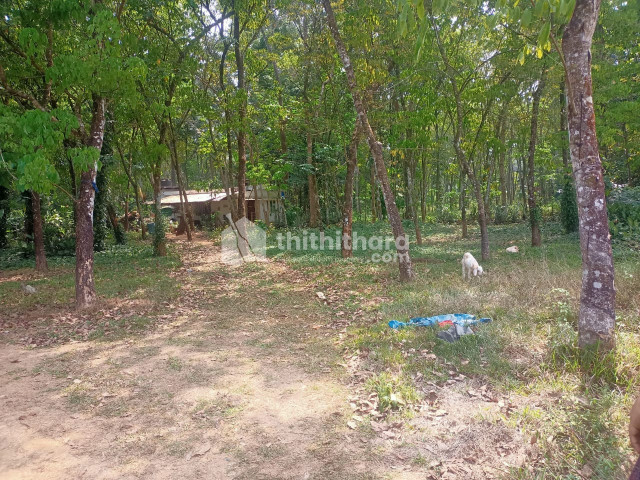 Residential Land available for Sale in Puthuppally Kottayam
