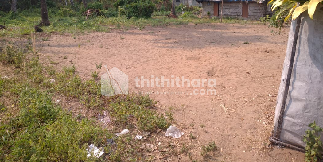 Commercial Plots available for Sale in Nattika Thrissur