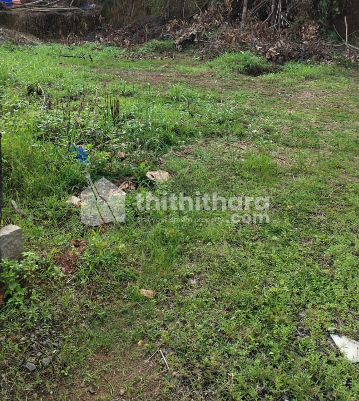  Land for Sale in Puthuppally, Kottayam