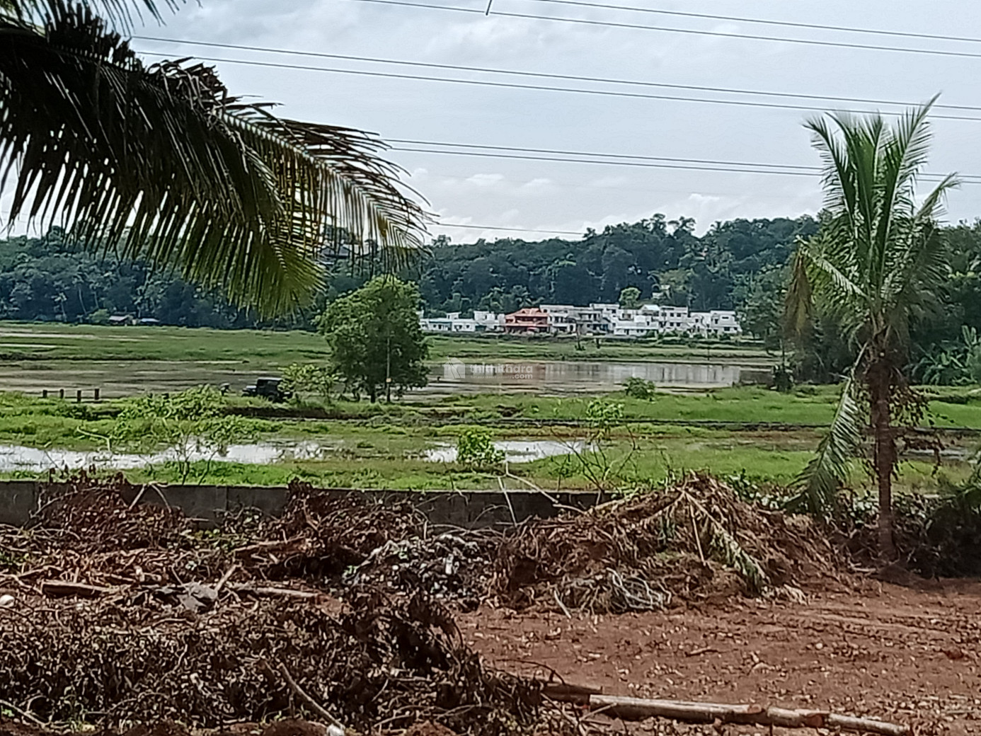 Land for Sale in Puthupally Kottayam 