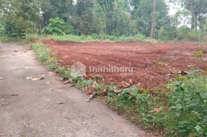 Plots Sale in Thodupuzha, Idukki
