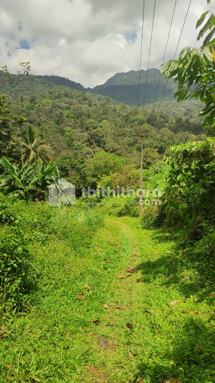 Land for Sale in Thamarasseri, Kozhikode