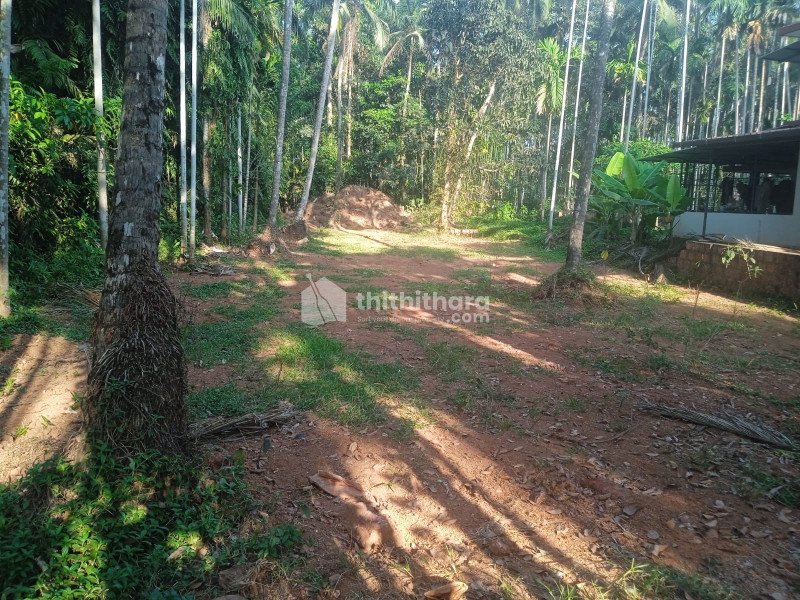 Land for Sale in Kasaragod Town Kasaragod