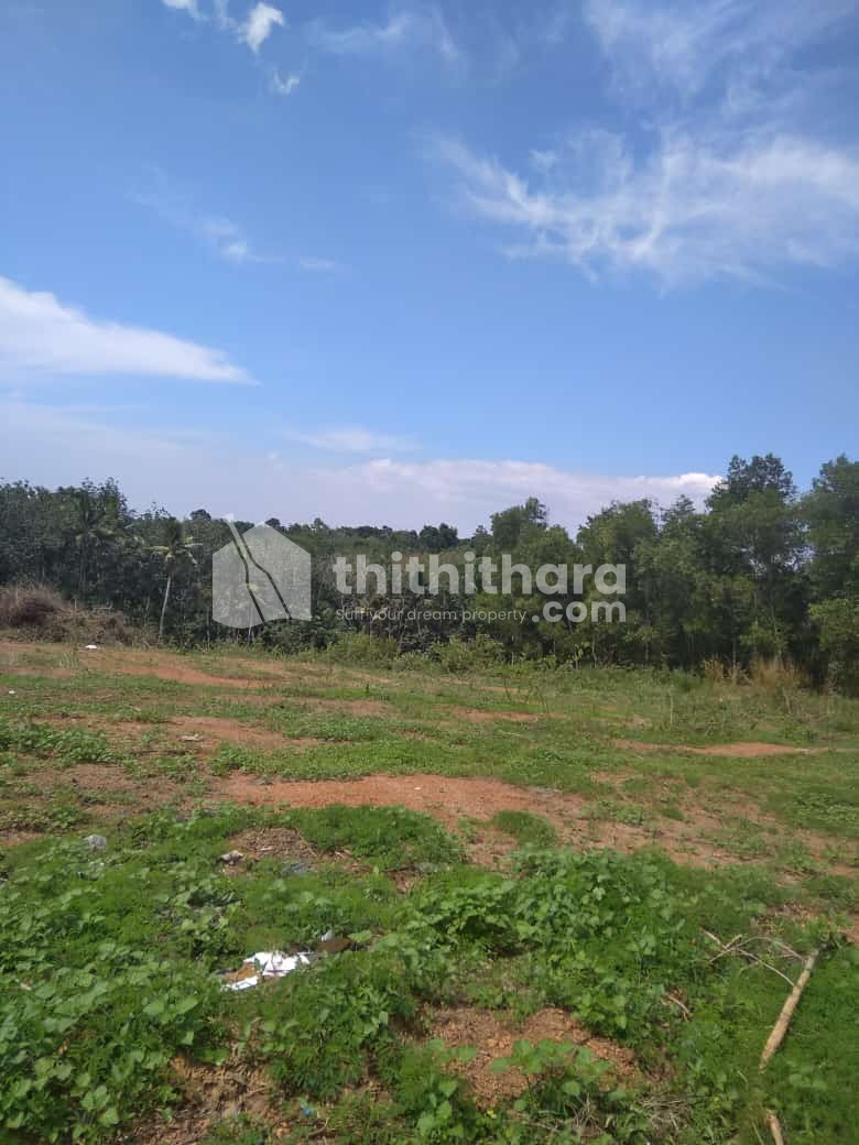Plots available for Sale in Parassala Thiruvananthapuram
