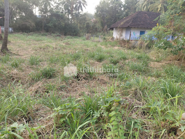 Commercial Plots available for Sale in Kuzhalmannam Palakkad