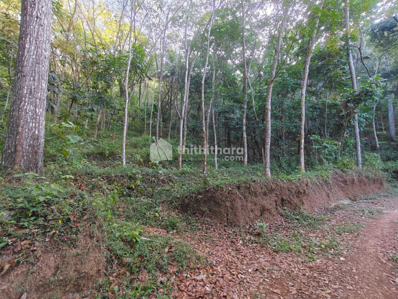 Residential Land available for Sale in Nedumangad Thiruvananthapuram