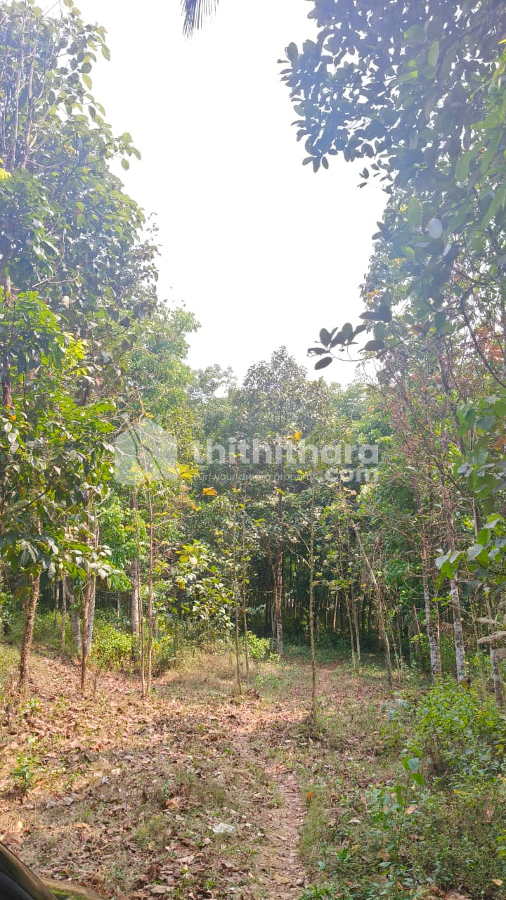 Residential Land available for Sale in Meenachil Kottayam