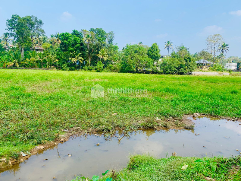 Commercial Plot for Sale in Changanassery Kottayam 