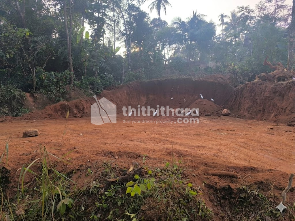 Land available for Sale in  Thalassery Kannur