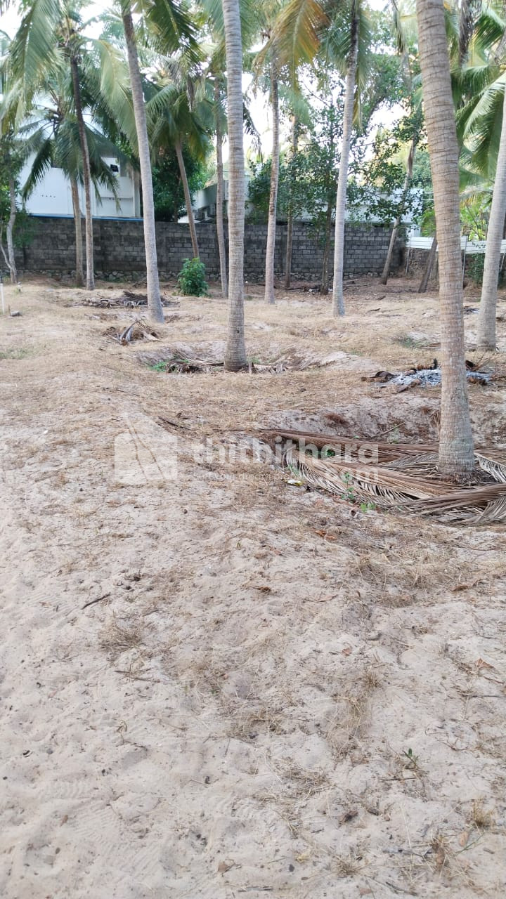 Land  for Sale in Kazhakootam Thiruvananthapuram