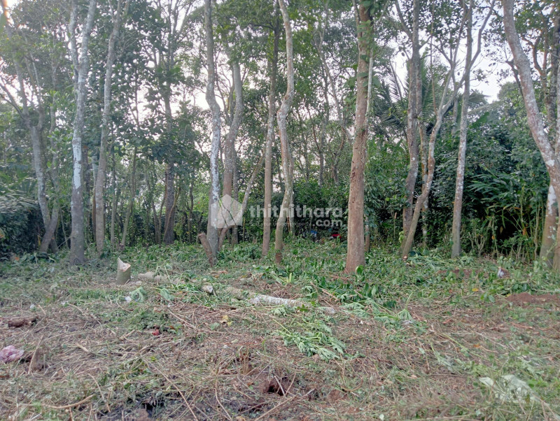 Commercial Plots available for Sale in Peerumade Idukki