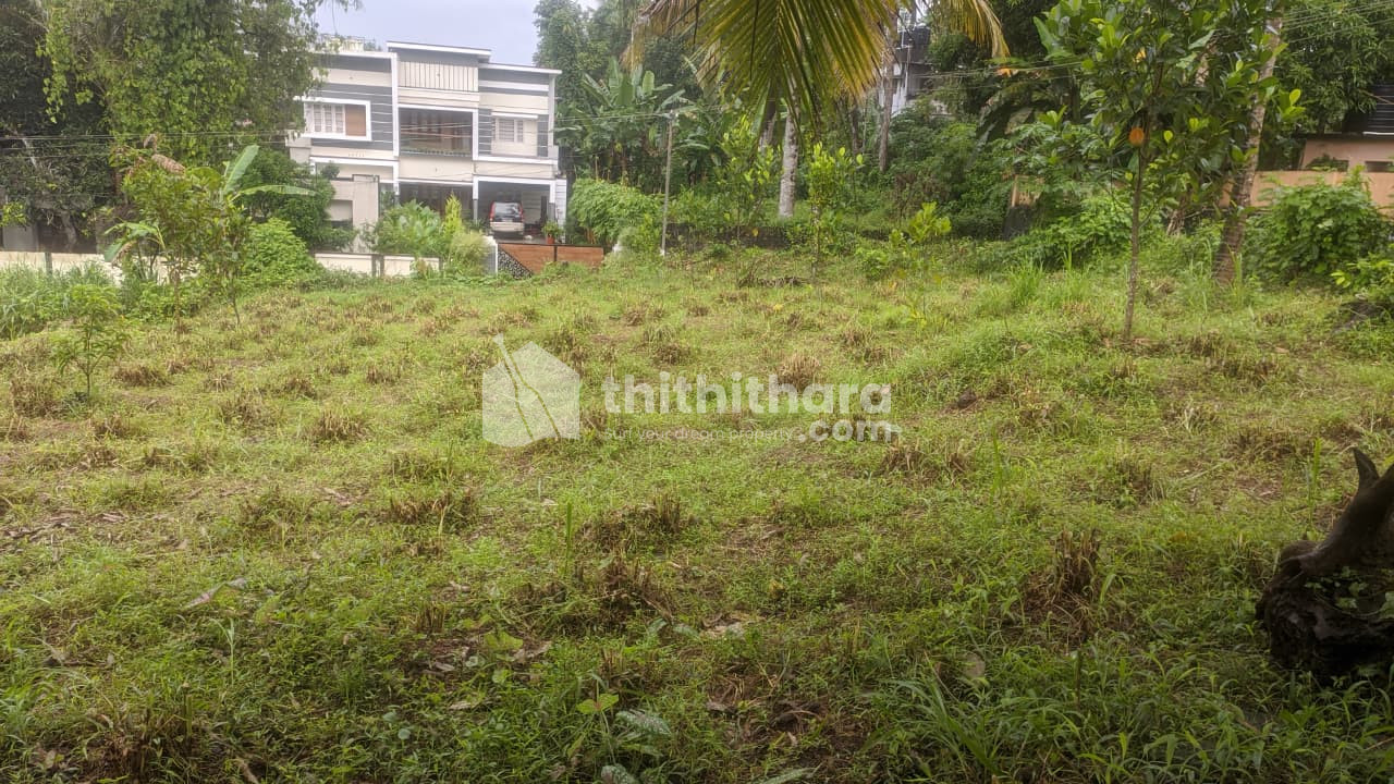 Residential Land available for Sale in Adoor Pathanamthitta