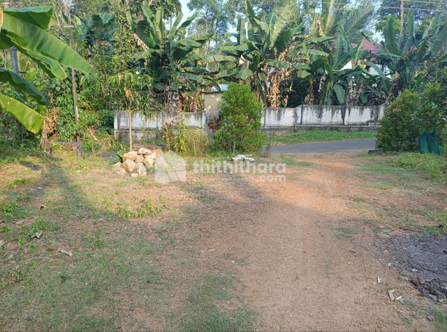  Land available for Sale in Adoor, Pathanamthitta