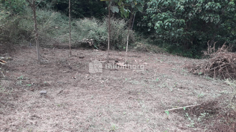 Residential Land available for Sale in Perumbavoor Ernakulam