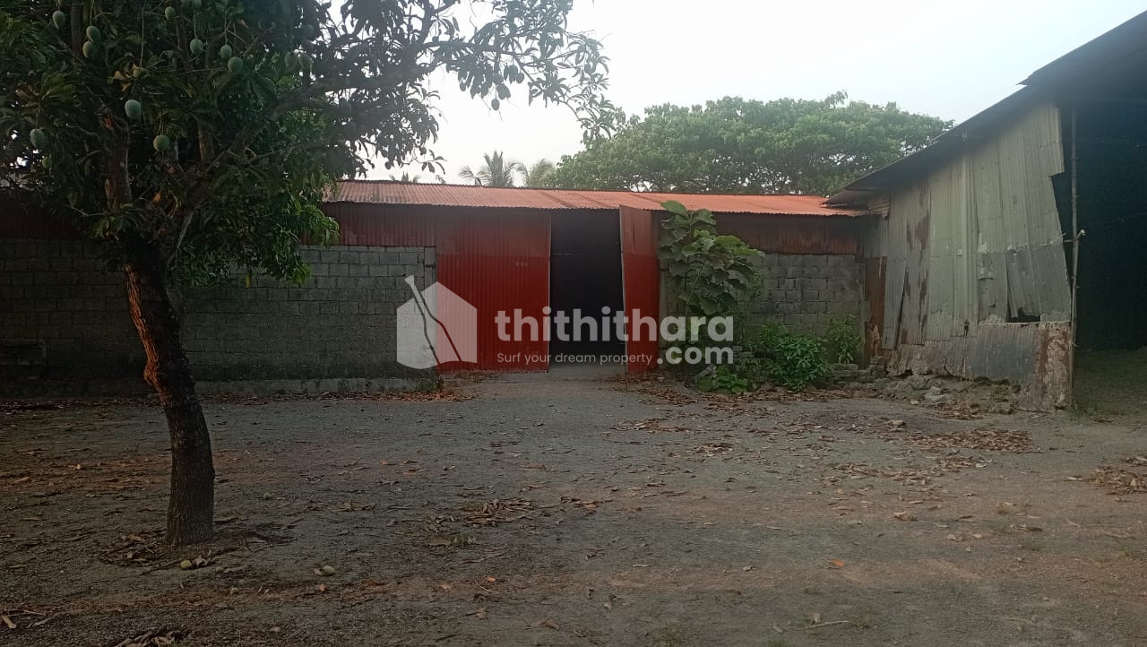 Residential Land available for Sale in Ayyanthole Thrissur