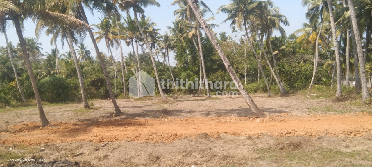 Land available for Sale in Kayamkulam, Alappuzha